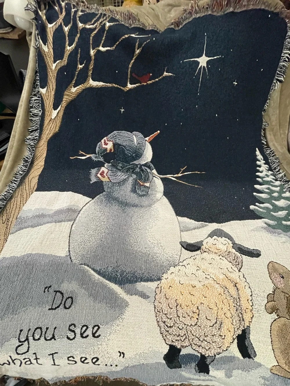 Christmas “Do You See What I See